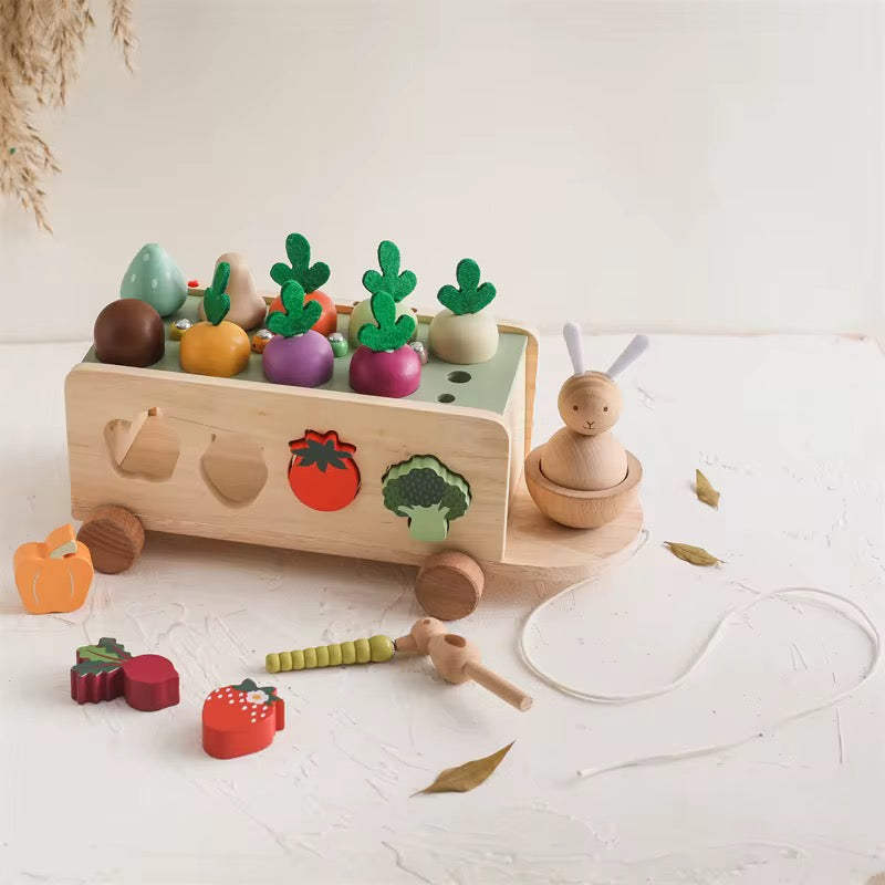 Montessori Nachziehwagen Gemüsezug aus Holz